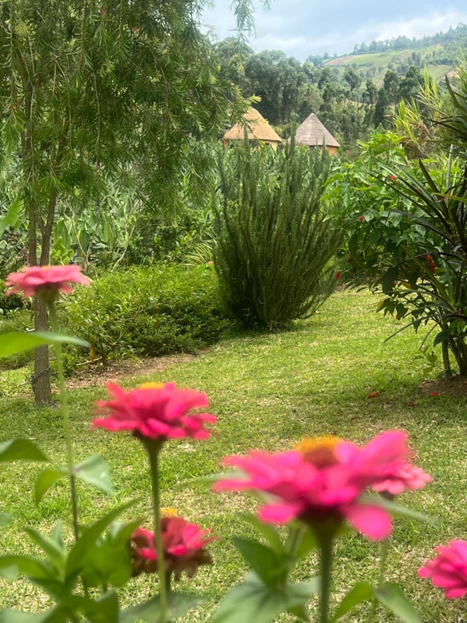 Nyore Hillside Retreat Mbarara Eksteriør billede