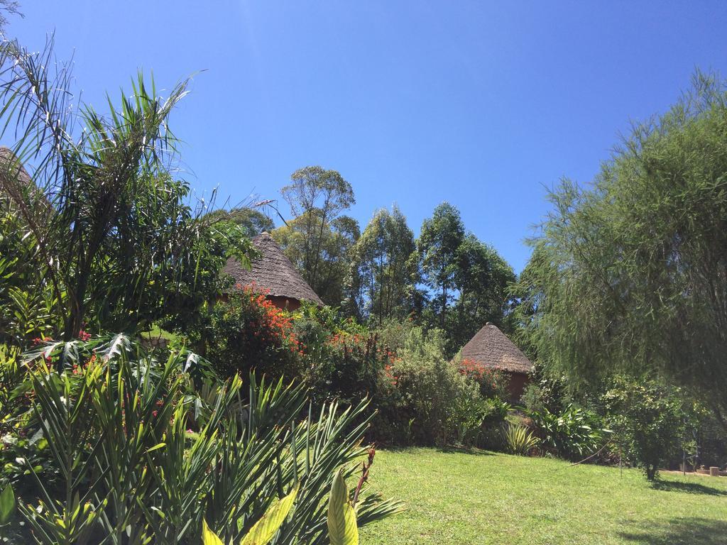 Nyore Hillside Retreat Mbarara Eksteriør billede