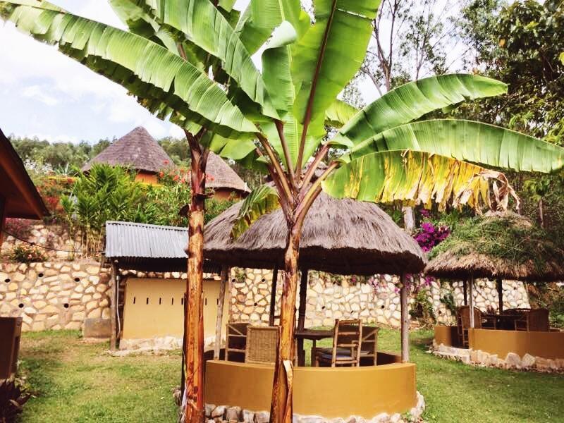 Nyore Hillside Retreat Mbarara Eksteriør billede