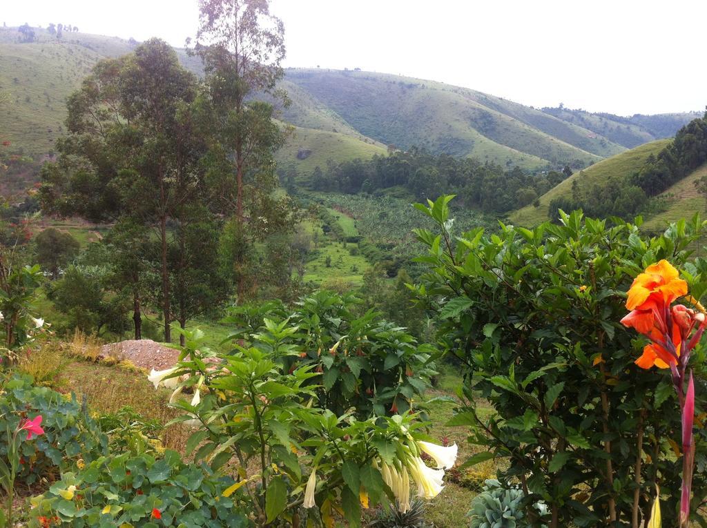 Nyore Hillside Retreat Mbarara Eksteriør billede